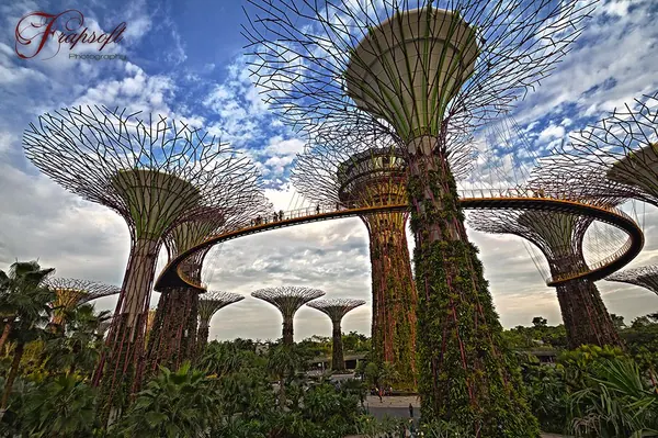 Singapore 2013 – Part II - photo 3