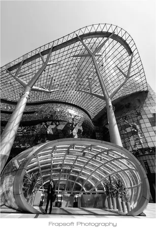 Singapore in Black and White Review