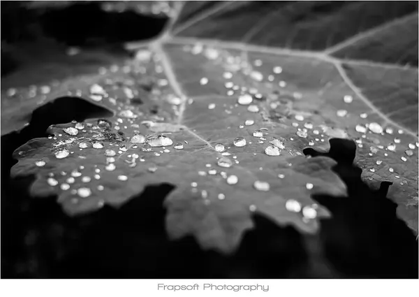 Sommerhausen – Part I - photo 2