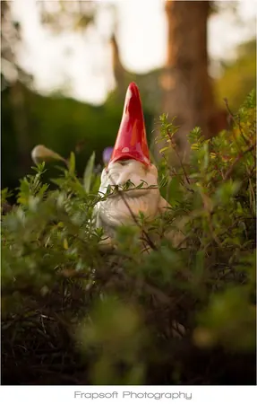 Sommerhausen – Part II - photo 4