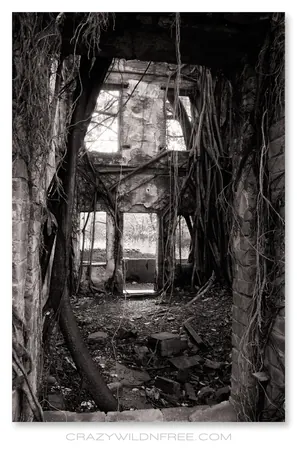 Spooky House in Alishan Mountain