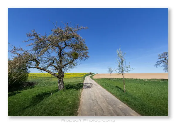 Springtime in Bieringen - photo 2