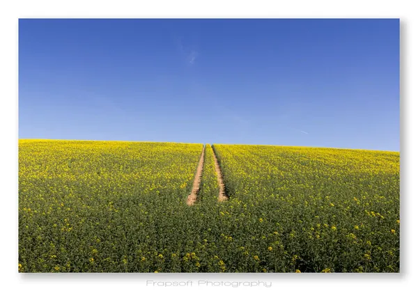 Springtime in Bieringen - photo 3