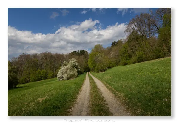 Springtime in Schöntal