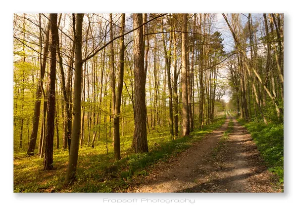 Springtime in Schöntal - photo 2