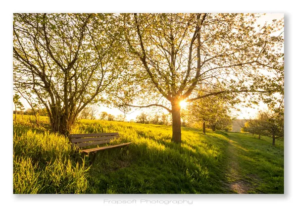 Springtime in Schöntal - photo 4
