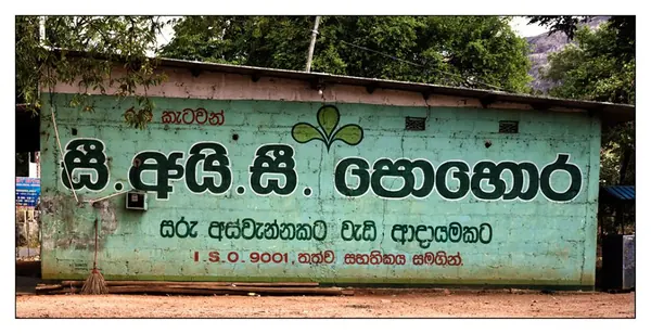 Sri Lanka – Overview 1 - photo 3