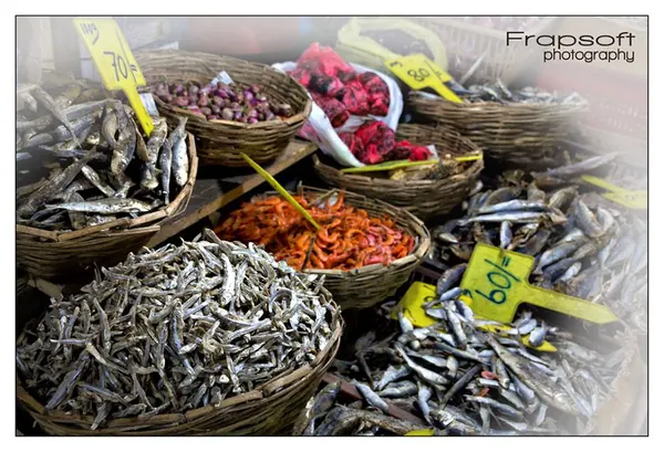 Sri Lanka – Overview 1 - photo 15