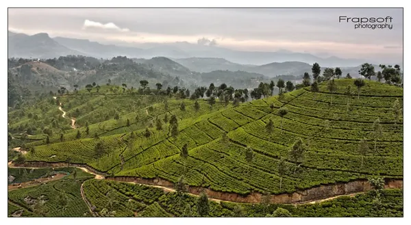 Sri Lanka – Overview 1 - photo 19
