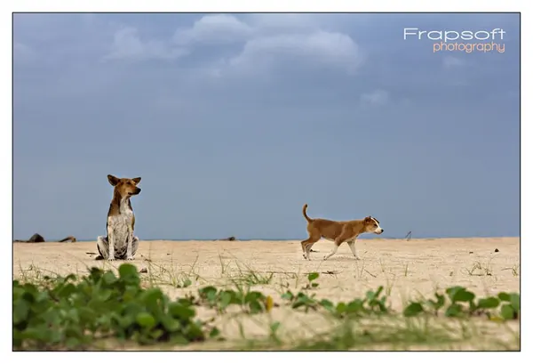 Sri Lanka – Overview 2 - photo 4
