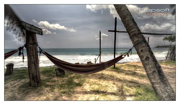 Sri Lanka – Overview 2 - photo 7