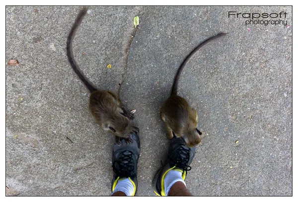 Sri Lanka – Mountain Climbing - photo 3
