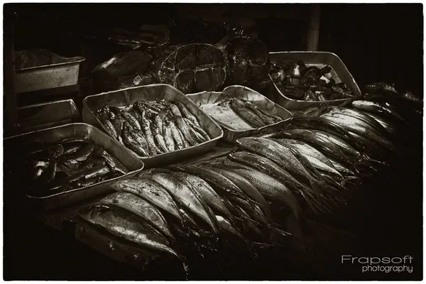 Sri Lanka Review - photo 3
