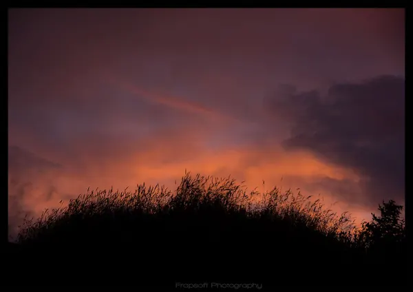 Beautiful Sunset in Franz Josef - photo 3