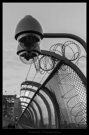 Sydney in Black & White - photo 3