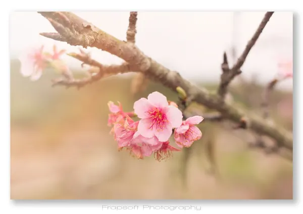 Tainan Wusanto Reservoir – Part I - photo 3