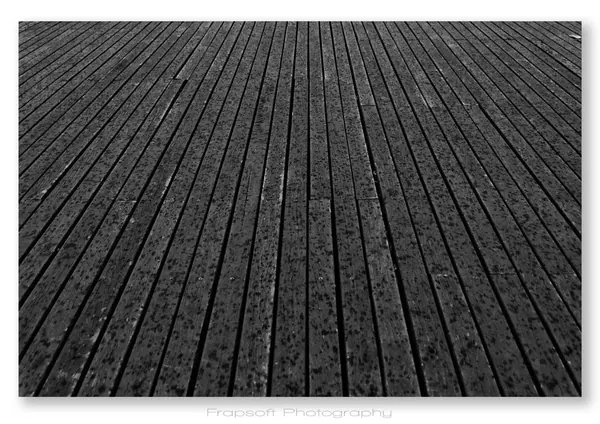 Tainan Wusanto Reservoir – Part I - photo 4