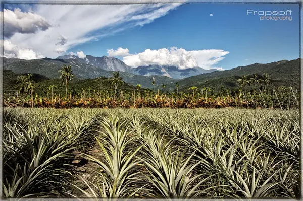 Taiwan – Bike Tour - photo 2
