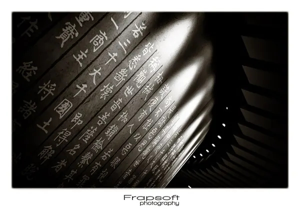 Taiwan Mixed 3 - photo 3