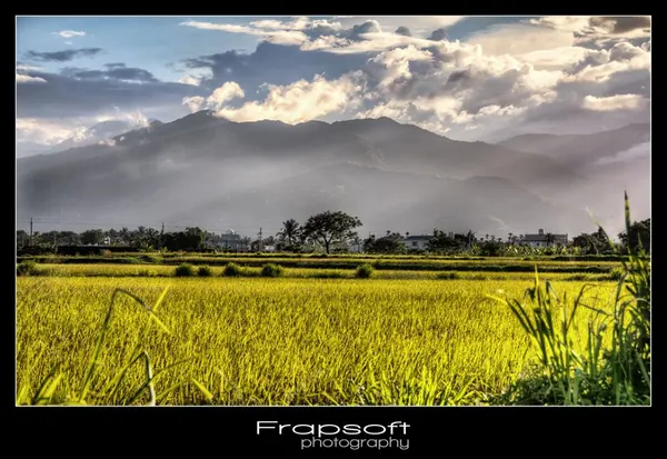 Taiwan Mixed – Part I - photo 2