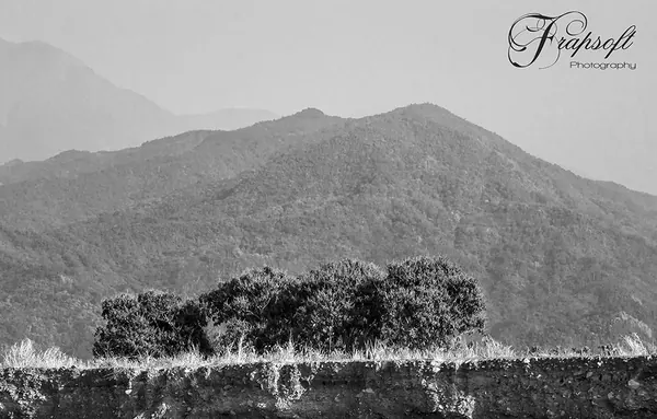 Taiwan Mixed – Part III - photo 3
