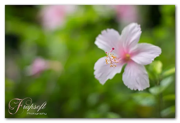 Taiwan Mixed – Part III - photo 4