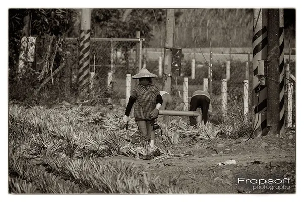 Taiwan Neipu – Part III