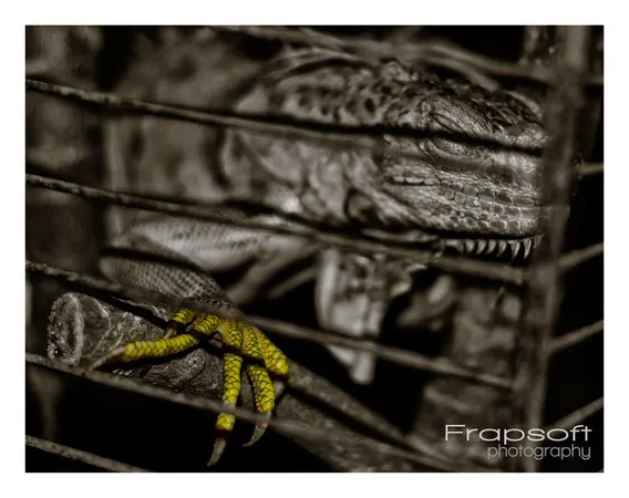 South Taiwan – Part I - photo 3