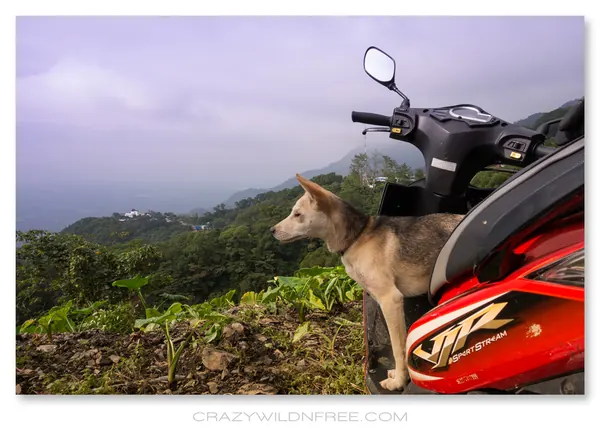 Taiwu Mountains – Part II - photo 3