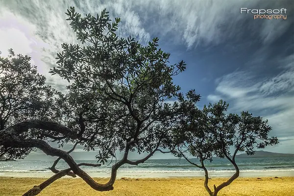 Tapakuna Beachside