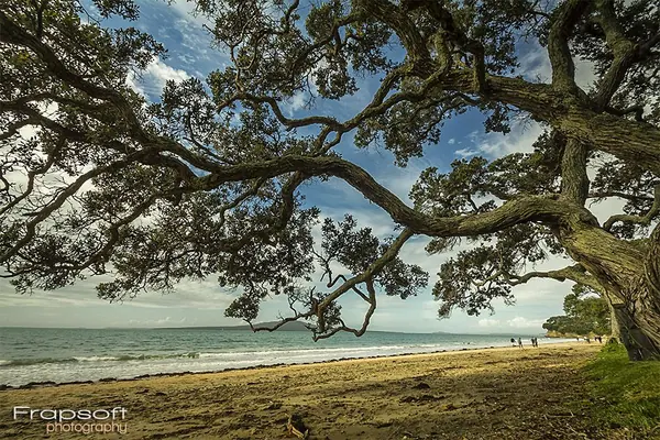 Tapakuna Beachside - photo 3