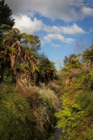 Taupo Area - photo 2