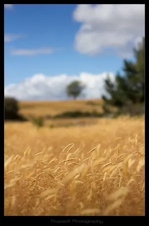 Tramping Around Te Anau NZ - photo 2
