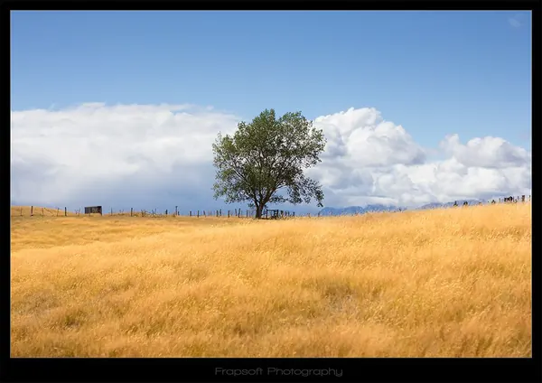 Tramping Around Te Anau NZ - photo 3