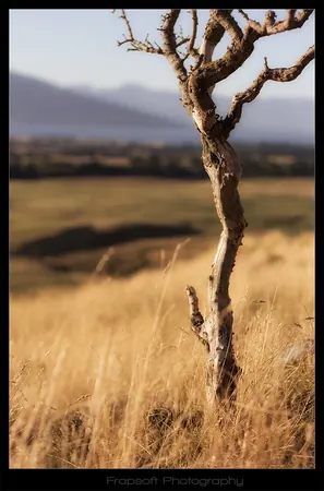 Hiking Around Te Anau – Part II - photo 3