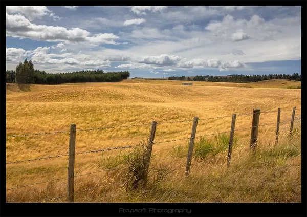 Te Anau – Part III - photo 3