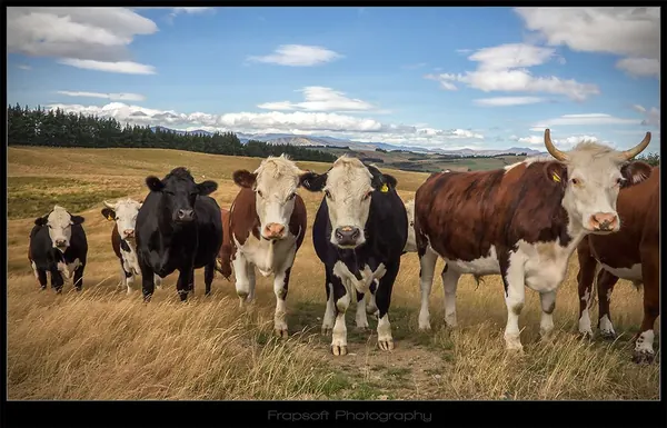 Hiking Around Te Anau – Part I - photo 4
