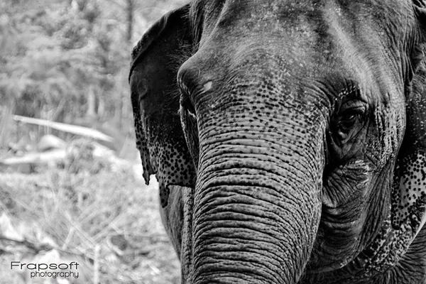 Thailand Review – Part II - photo 2