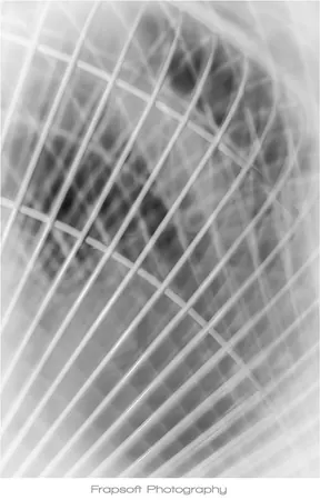 The Mind Unleased - photo 2
