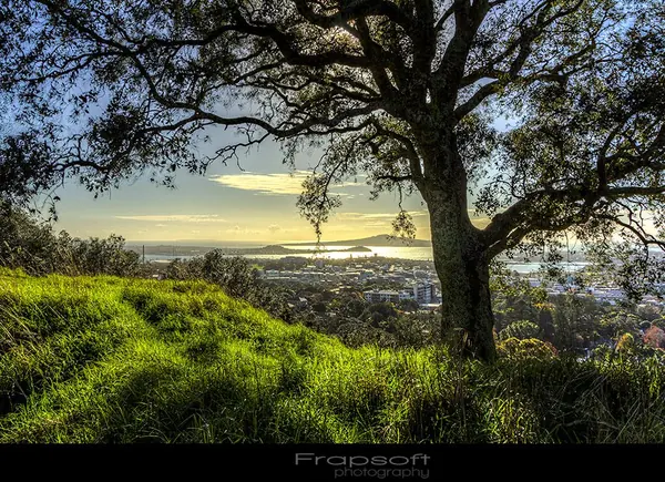 Auckland Timelapse Picture Review 5