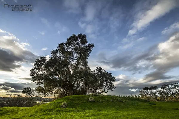 Auckland Timelapse Picture Review 6 - photo 2