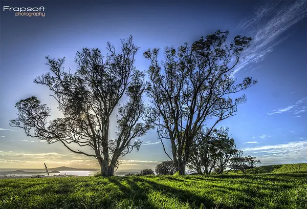 Auckland Timelapse Picture Review 9 - photo 2