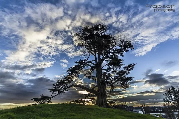 Auckland Timelapse Picture Review 9 - photo 3