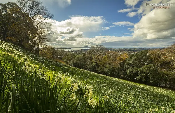 Auckland Hobson - photo 4