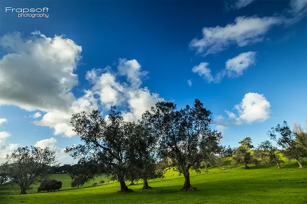Timelapse 4.1 Pictures - photo 3