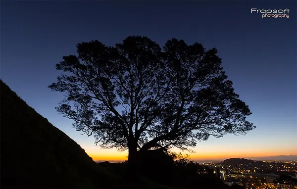 Timelapse 4.2 Pictures - photo 4