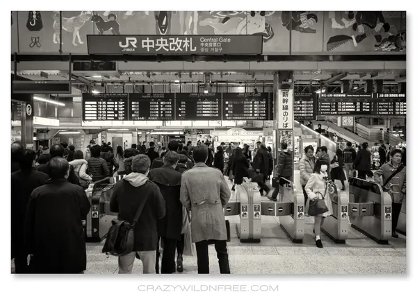 Tokyo City – Part IV - photo 3
