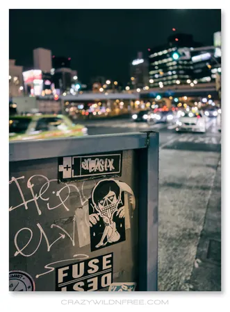 Tokyo City – Part IV - photo 4