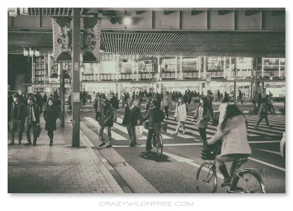 Tokyo City – Part V