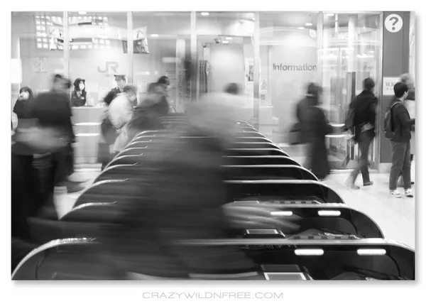 Tokyo City – Part III - photo 3